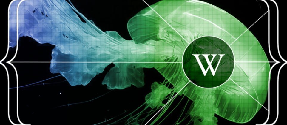IA-_Wikipedia_2