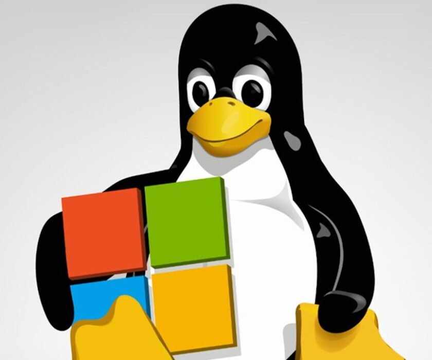 Windows-11-Linux