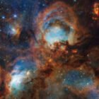 James Webb revela nuevas estrellas ocultas en la Nebulosa Pata de Gato