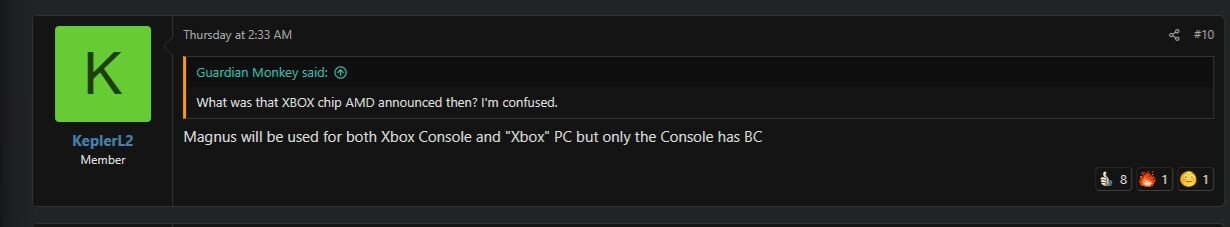 Xbox-Next-Magnus