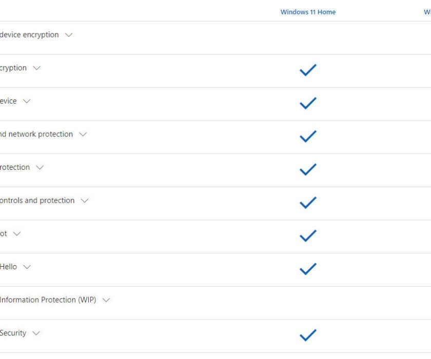 Windows_11_Home_Pro_2